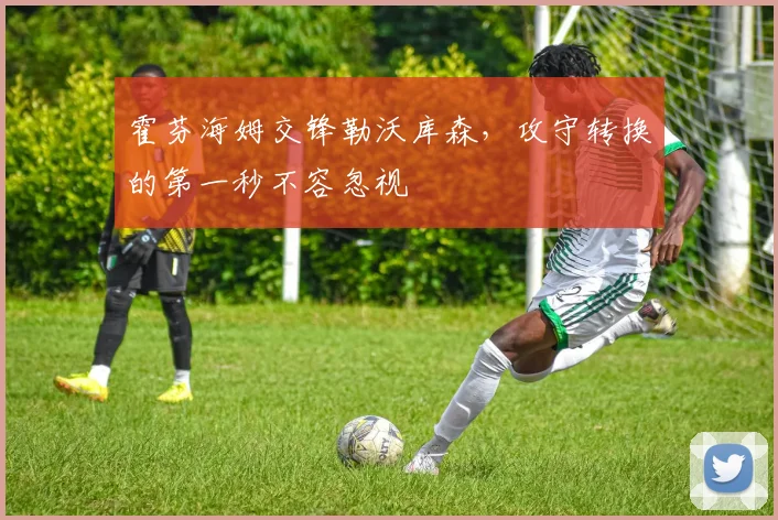 霍芬海姆交锋勒沃库森,攻守转换的第一秒不容忽视