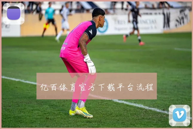 亿百体育官方下载平台流程