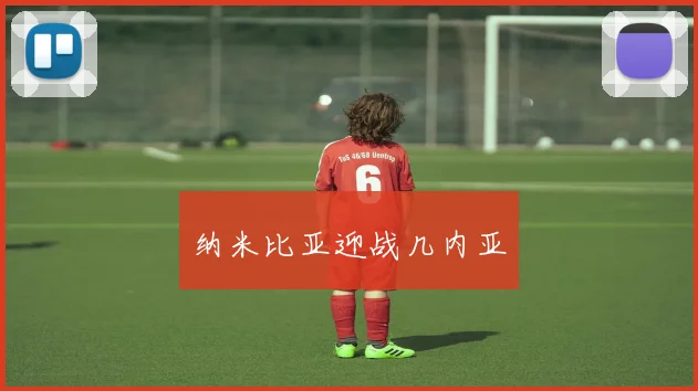 纳米比亚迎战几内亚
