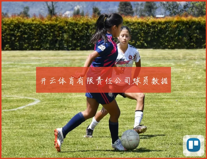 开云体育有限责任公司球员数据