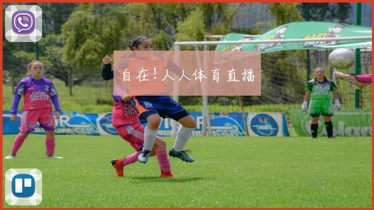 自在!人人体育直播