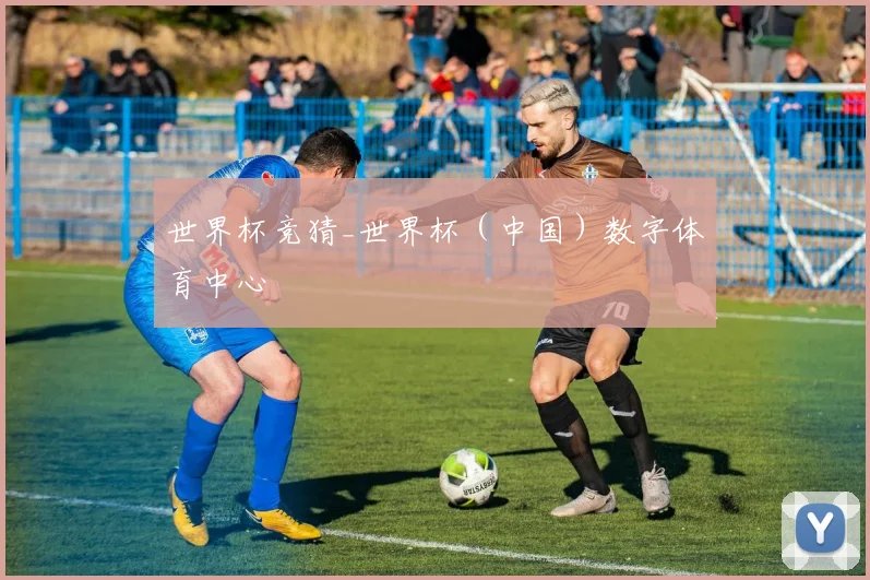 世界杯竞猜_世界杯（中国）数字体育中心