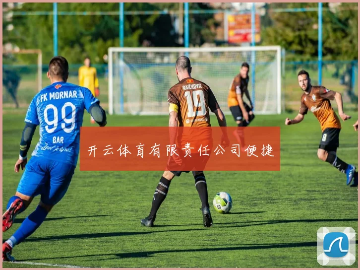 开云体育有限责任公司便捷