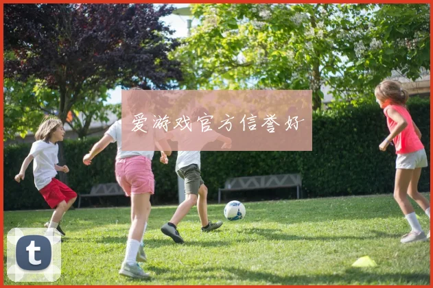 爱游戏官方信誉好