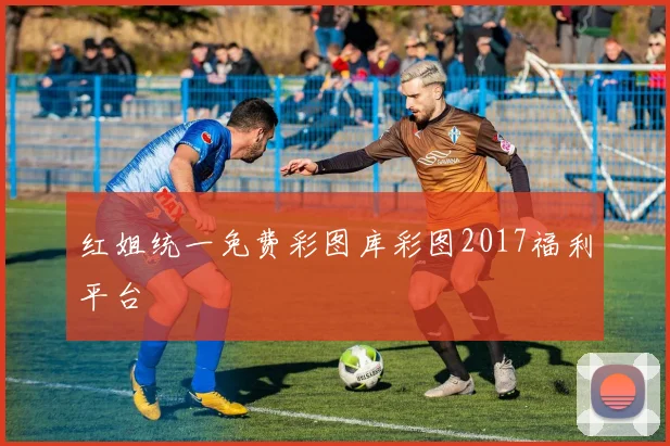 红姐统一免费彩图库彩图2017福利平台