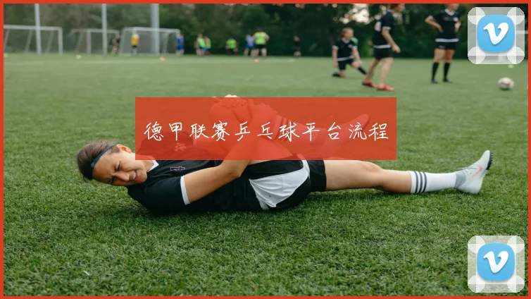 德甲联赛乒乓球平台流程
