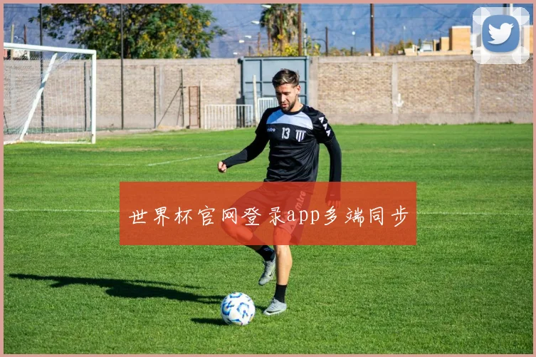 世界杯官网登录app多端同步
