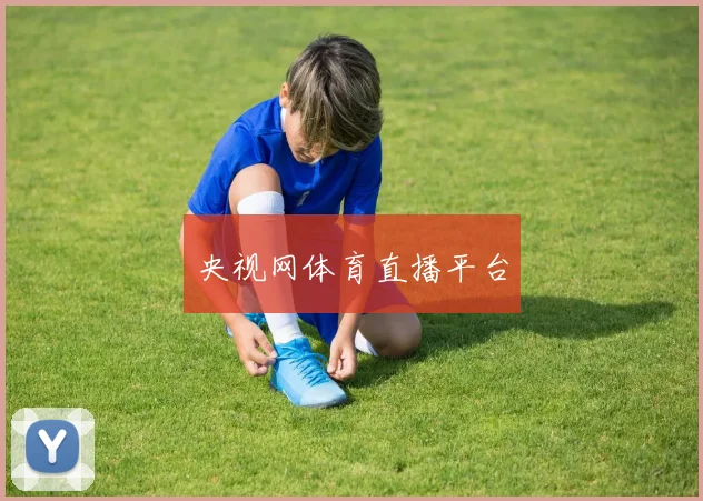 央视网体育直播平台