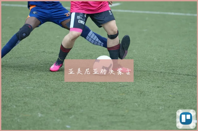 亚美尼亚对决蒙古