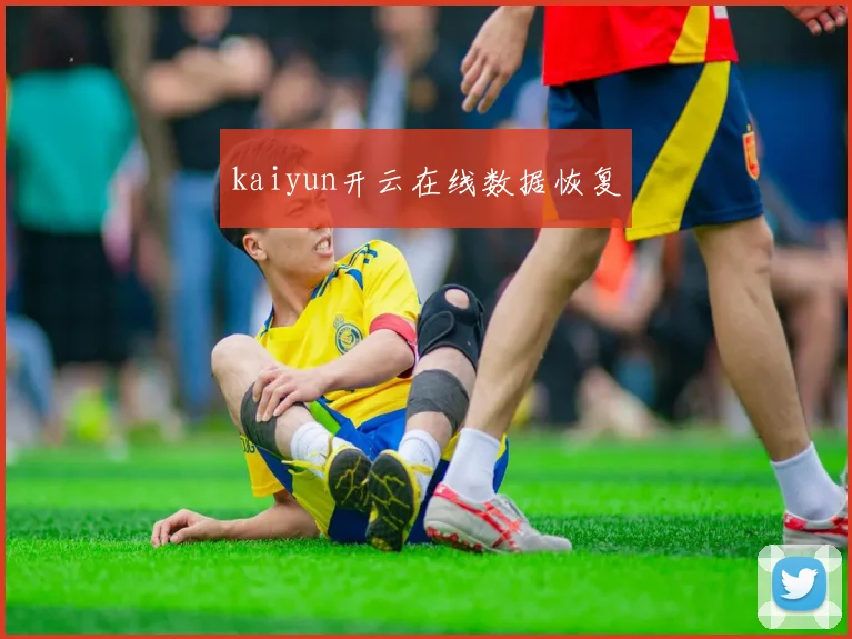 kaiyun开云在线数据恢复
