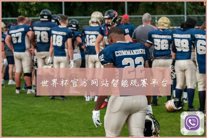 世界杯官方网站智能观赛平台