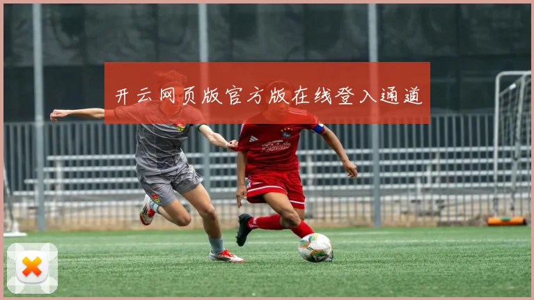 开云网页版官方版在线登入通道