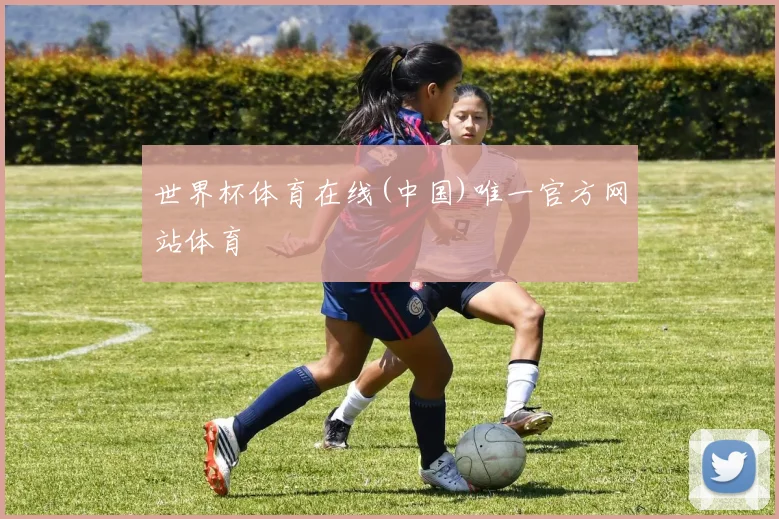 世界杯体育在线(中国)唯一官方网站体育