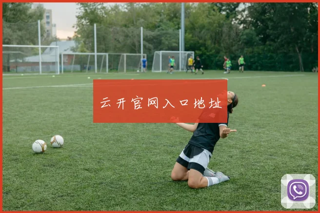 云开官网入口地址