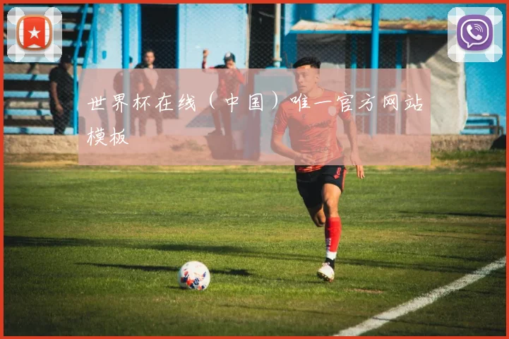 世界杯在线（中国）唯一官方网站模板