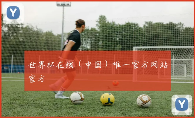 世界杯在线（中国）唯一官方网站官方