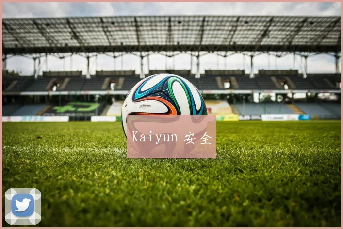 Kaiyun 安全