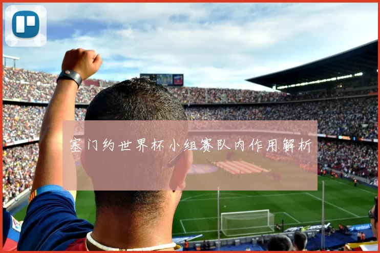 塞门约世界杯小组赛队内作用解析