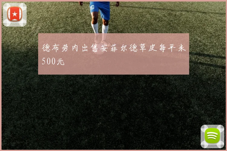 德布劳内出售安菲尔德草皮每平米500元