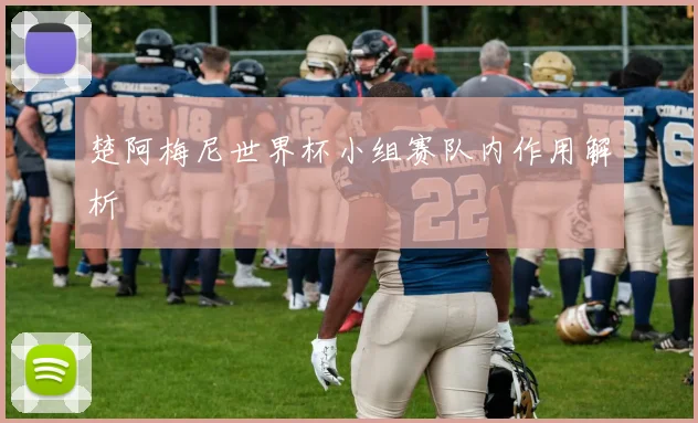 楚阿梅尼世界杯小组赛队内作用解析