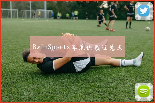 BwinSports苹果侧载注意点