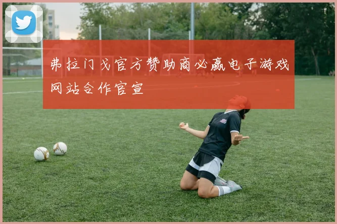 弗拉门戈官方赞助商必赢电子游戏网站合作官宣
